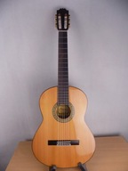 Alvaro Guitars L-260
