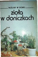 Zioła w doniczkach - Praca zbiorowa