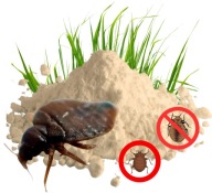 POLOSKA ELLENI KÉSZÍTMÉNY HATÉKONY BIO DIATOMIT 1KG EVOLUTE