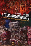 After Human Rights: Literature, Visual Arts, and