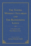 The Tantra Without Syllables (Volume 3) and The