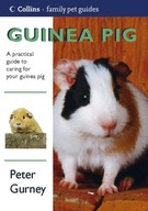 Guinea Pig Peter Gurney