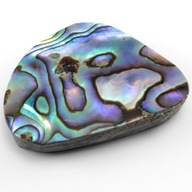 Paua Abalone kabošon cca 32x23 mm PERL0285