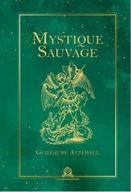 Mystique Sauvage BUCH FRENCH BOOK