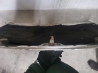 bonnet FORD FOCUS MK1 LIFT 01-04
