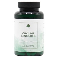 Cholín a Inozitol 120 kapsúl G&G