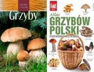 Atlas grzybów Polski + Grzyby. Spotkania Snowarski