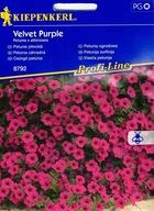 Kiepenkerl semená Petunia záhradná Velvet Purple F1
