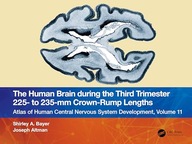 The Human Brain during the Third Trimester 225– to 235–mm Crown-Rump Bayer,