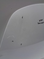 Capot TESLA MODEL 3 17- NR 46337
