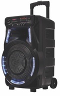 Głośnik Power Audio Manta SPK 5033 40W karaoke