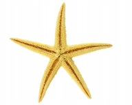 Hviezdica prírodná veľká 8-10cm hviezdice