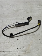 Hyundai Kona and 2018 button handles zewnetrznej