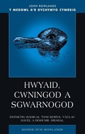 Hwyaid, Cwningod a Sgwarnogod: Esthetig Radical