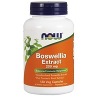 Boswellia Extract + Turmeric 250mg 120 kaps. NOW