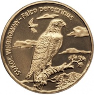 2zł - Sokół wędrowny łac. Falco peregrinus - 2008