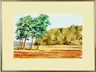 Mazovské borovice na poli, akvarel,
