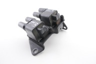 coil ignition HYUNDAI i10 1.2 16V G4LA