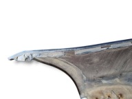 bumper rear BMW 1 E82/E88 facelift E82 2009 7208576