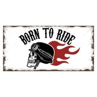 Dekoratívna tabuľa Plech Born To Ride Motor Skull Two
