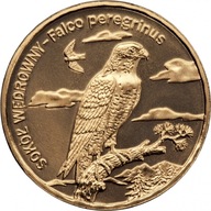 2zł Sokół wędrowny (łac. Falco peregrinus) 2008r.