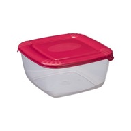 Plast-Team duży pojemnik do przechowywania żywności lunchbox 2,5L 20x20x10c