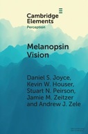 Melanopsin Vision: Sensation and Perception