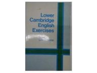 Lower Cambridge English Exercises - Linton Stone