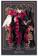 Harry Potter Wizard Dynasty Harry - plagát 61x91,5