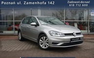 Volkswagen Golf Niski przebieg1 wl SUPER STAN