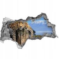 Diera fototapeta na stenu Leopard na kmeni 115x88