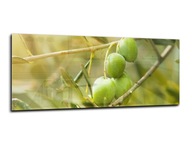 panel szklany do kuchni lacobel 125x50 owoce