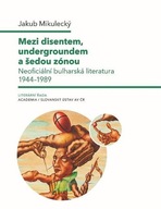 Mezi disentem, undergroundem a ... Jakub Mikulecký