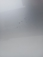 door left rear. BMW E61 354/7 TITANSILBER