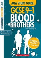 Blood Brothers AQA English Literature Torn Cindy
