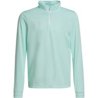 Detská mikina adidas Entrada 22 Training Top mätová HC5056 164cm