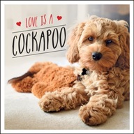 Love is a Cockapoo: A Dog-Tastic Celebration of