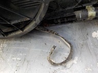 82. MAZDA 3 III DIESEL support panel for radiators pillar