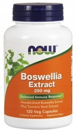 NOW Foods Boswelia Extrakt+Kurkuma 250mg 120 kaps