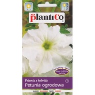 Petunia záhradná Čipkovaný závoj 0.05g biela