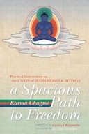 A Spacious Path to Freedom: Practical
