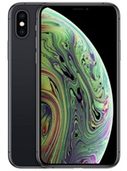 Smartfon Apple iPhone XS 4 GB / 64 GB 4G (LTE) Space Gray + Premium Zestaw