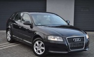 Audi A3 Audi A3 1.6 Attraction