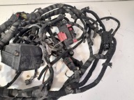 Alfa Romeo Giulia 2,2 JTD bundle electrical of the engine (AG45)