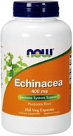 NOW FOODS Echinacea 400mg Echinacea purpurová 250Kap