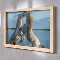 Obraz z drewnianą ramką Konie woda zabawa 65x45