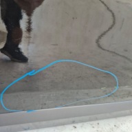 BMW X2 F39 21- door right front front
