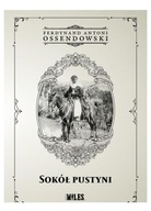 Sokół Pustyni