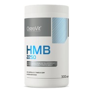 OstroVit HMB 2250 mg 300 kapsúl