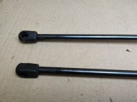 damper bonnet boot Ford Escape 3 C520 facelift 2017 GJ54-S406A10-AB
